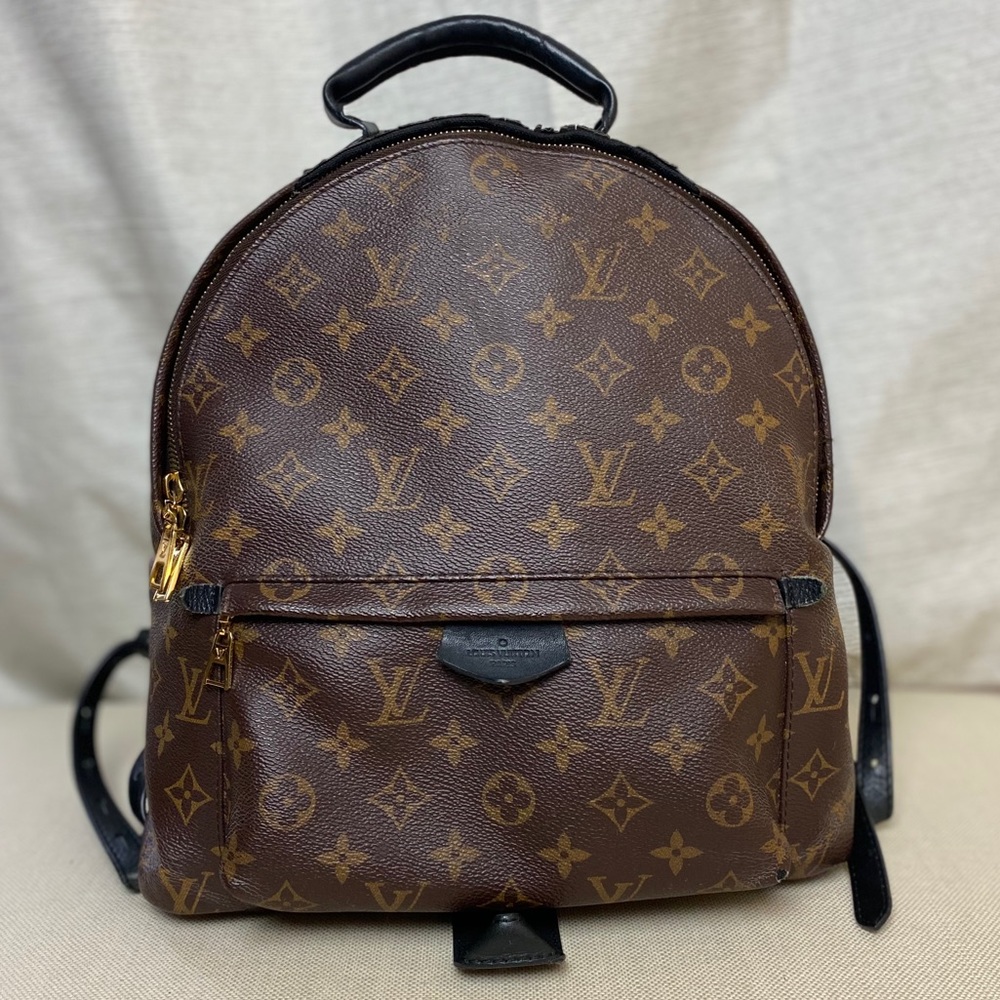 Louis Vuitton Palm Springs Backpack PM